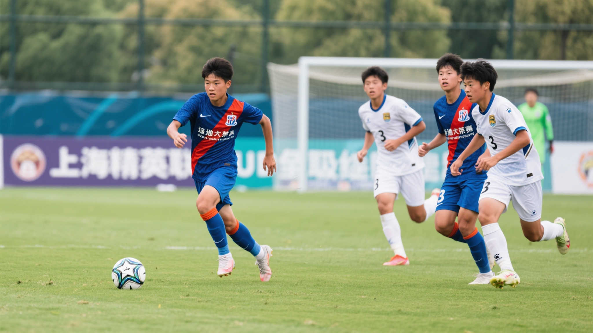 人才提供了 人才提供了